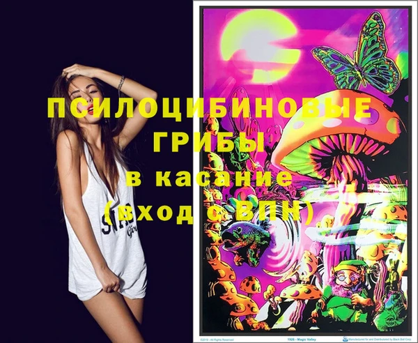 МДПВ Абинск